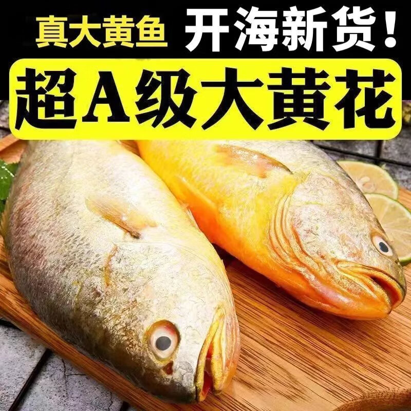 黃花魚價格_黃花魚的價格_黃花魚市場價格