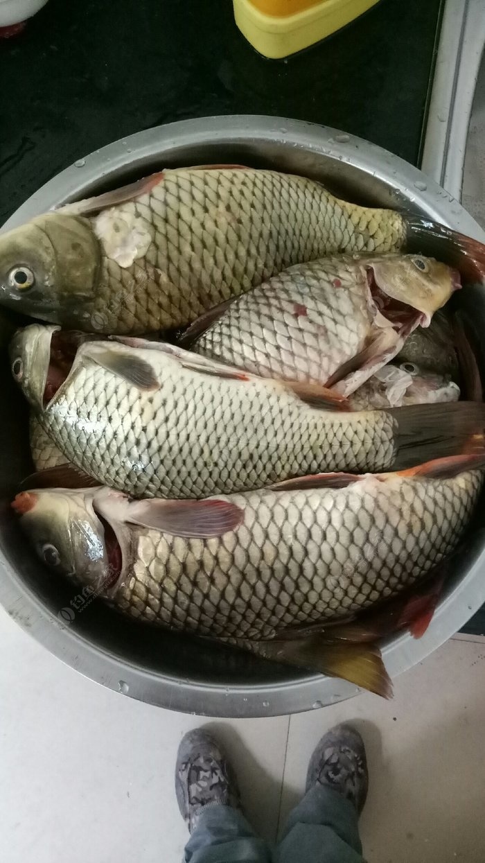 浦江諸暨安華水庫：生事且彌漫愿為持竿叟