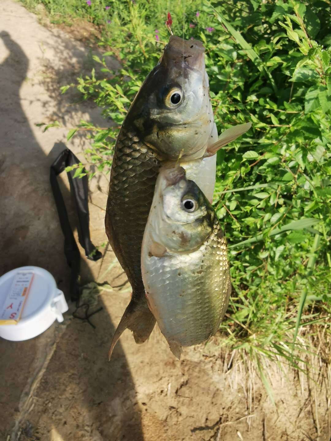釣魚找窩最簡單方法_釣魚找魚窩_釣魚如何找窩