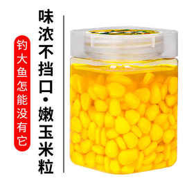 秋天鯉魚為什么不好釣？蚯蚓掛什么餌好？