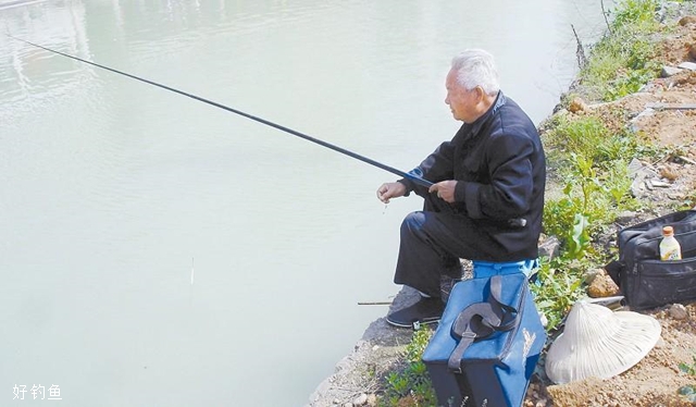 大馬林魚多少錢一斤_大馬林魚多少錢一斤_大馬林魚多少錢一斤
