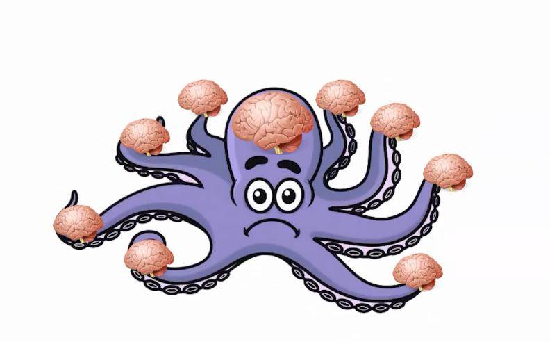 章魚與脊椎動物的關系，你知道嗎？