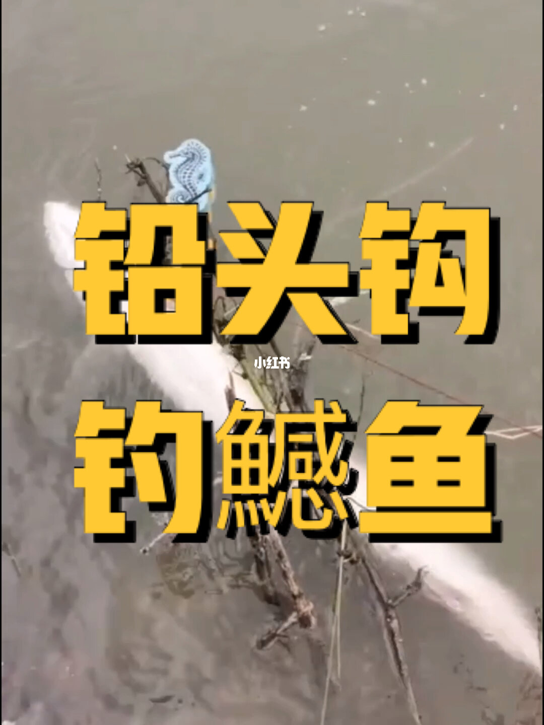 伊勢尼魚鉤適合釣什么魚_釣魚伊勢尼魚鉤正常用幾號鉤_野釣伊勢尼魚鉤選幾號