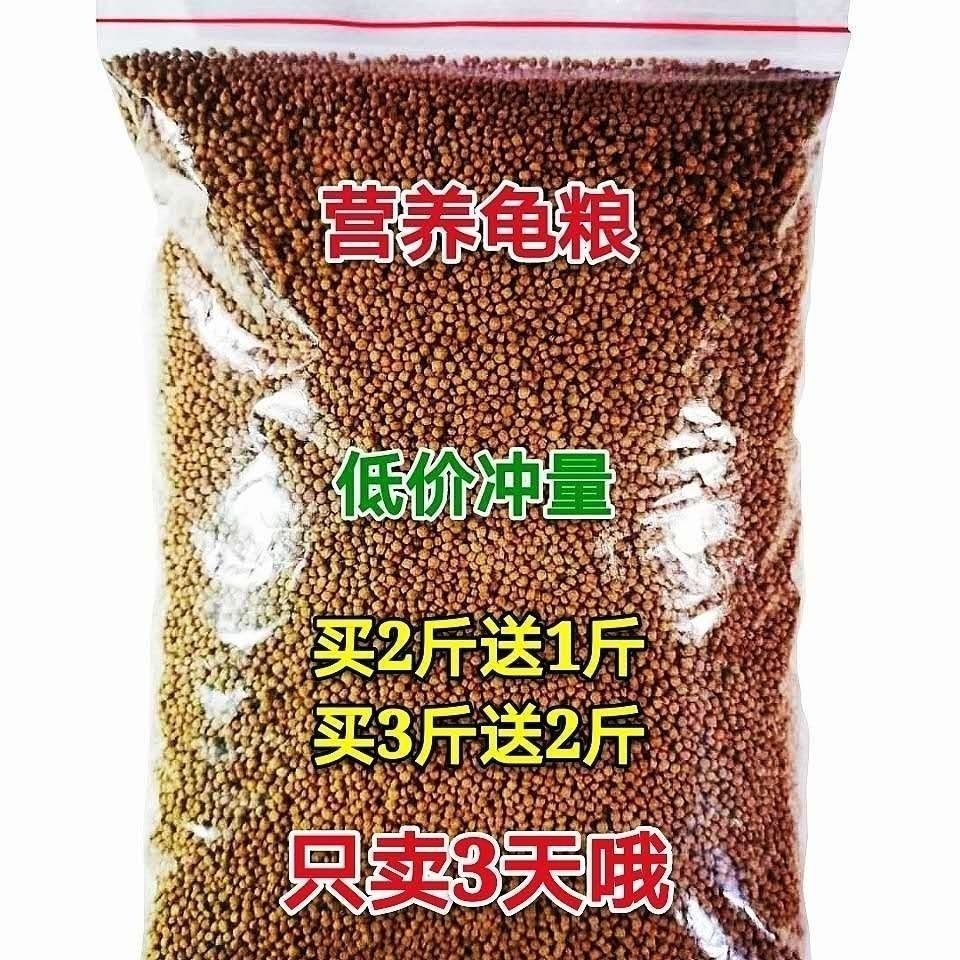 金錢龜 你想買金錢龜嗎？教你如何挑選金錢龜！！