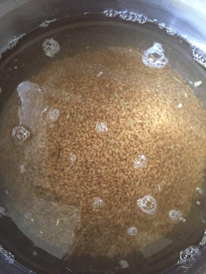 （釣魚技巧）春季釣鯽魚用的克己窩料配方