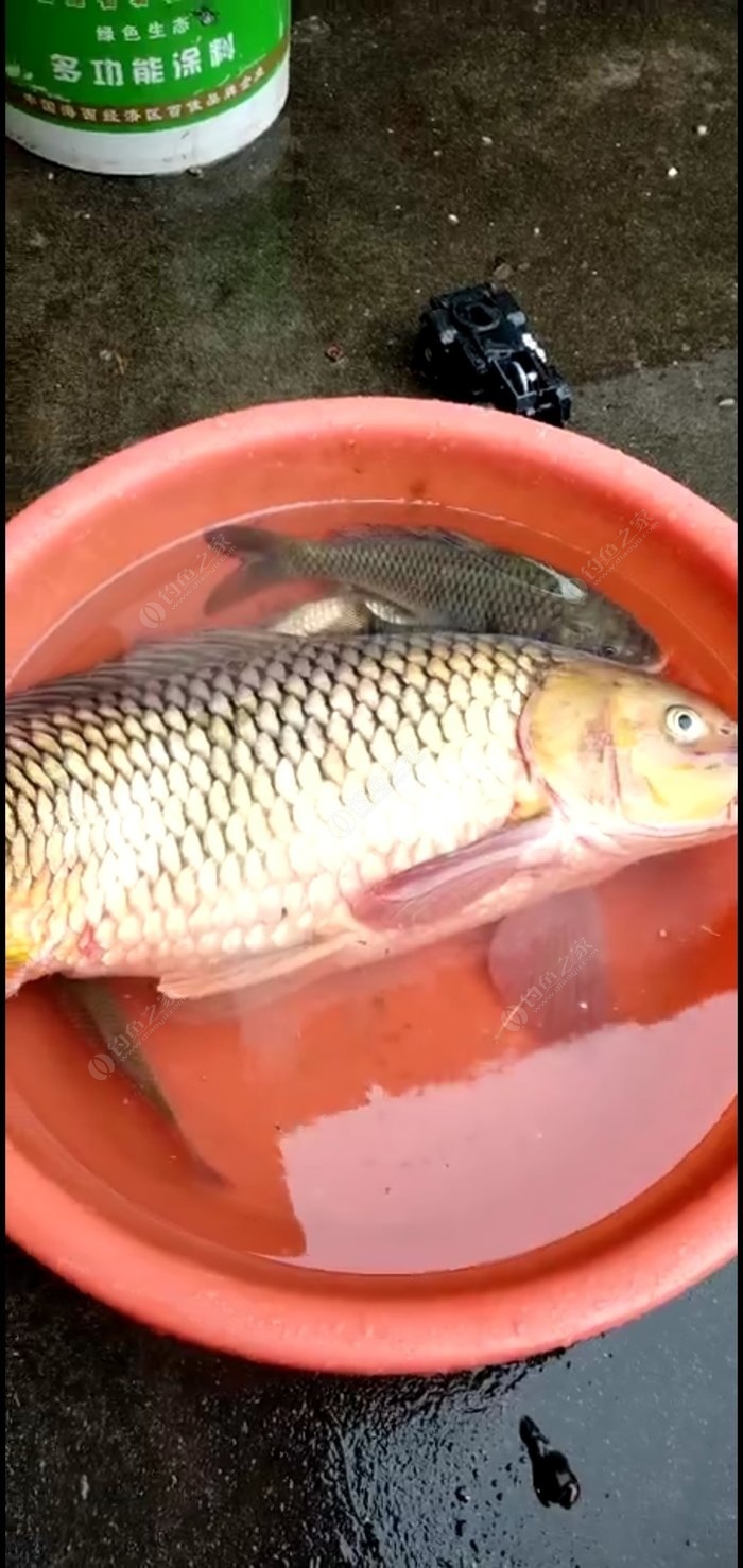 （釣魚學堂）秋季如何選擇合適的釣位呢？
