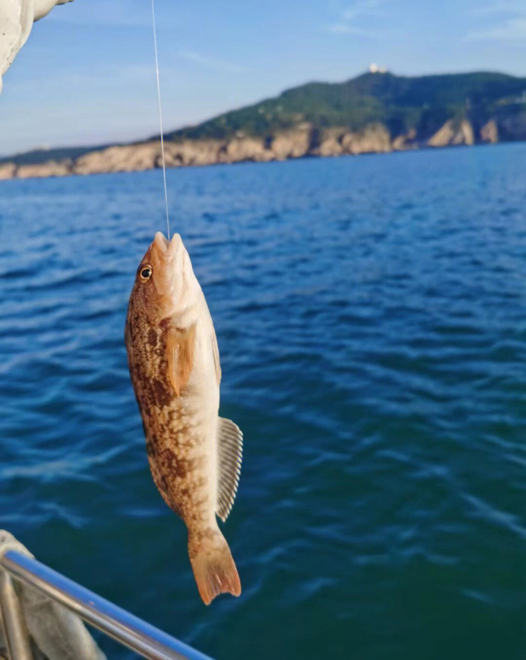 釣魚出海捕魚類小說_釣魚出海捕魚小說_出海釣魚