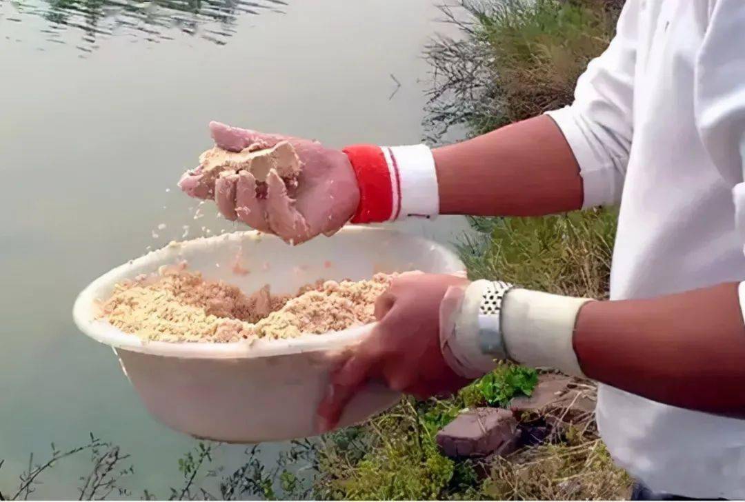 釣秋天配方鯽魚餌料怎么搭配_秋天釣鯽魚餌料配方大全_秋天釣鯽魚餌料配方