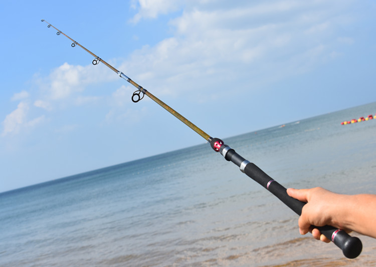 幾種魚竿_釣魚魚竿種類_魚竿種類