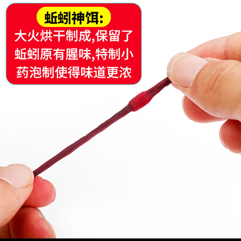 （釣魚講壇）秋季自制餌料，連桿爆護的快感！