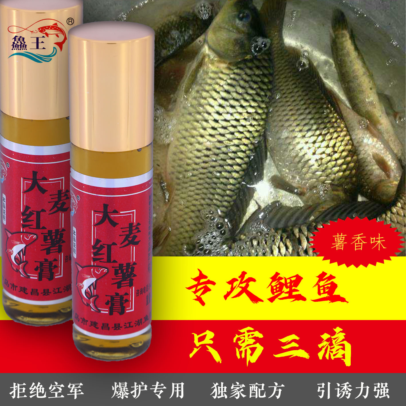 釣魚配料秘方鯉魚鯽魚_求釣鯉魚餌料配方_野釣鯽鯉餌料配方
