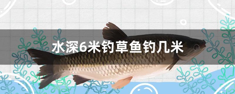 水深僅1米水域釣草魚還有必要釣浮嗎？