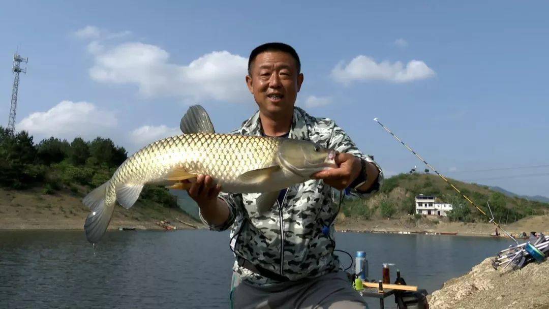 釣水庫草魚技巧方法視頻_釣水庫草魚技巧方法圖解_水庫釣草魚的方法和技巧
