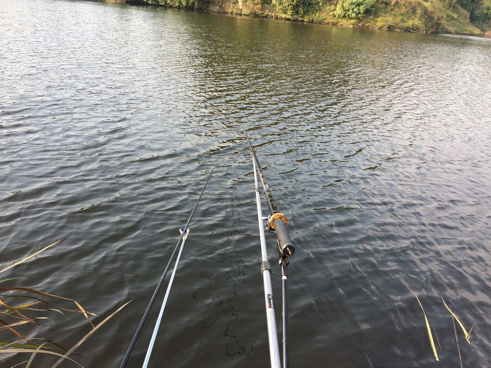秋冬野釣鯽魚配方_秋冬釣鯽魚技巧視頻_深秋初冬野釣鯽魚視頻