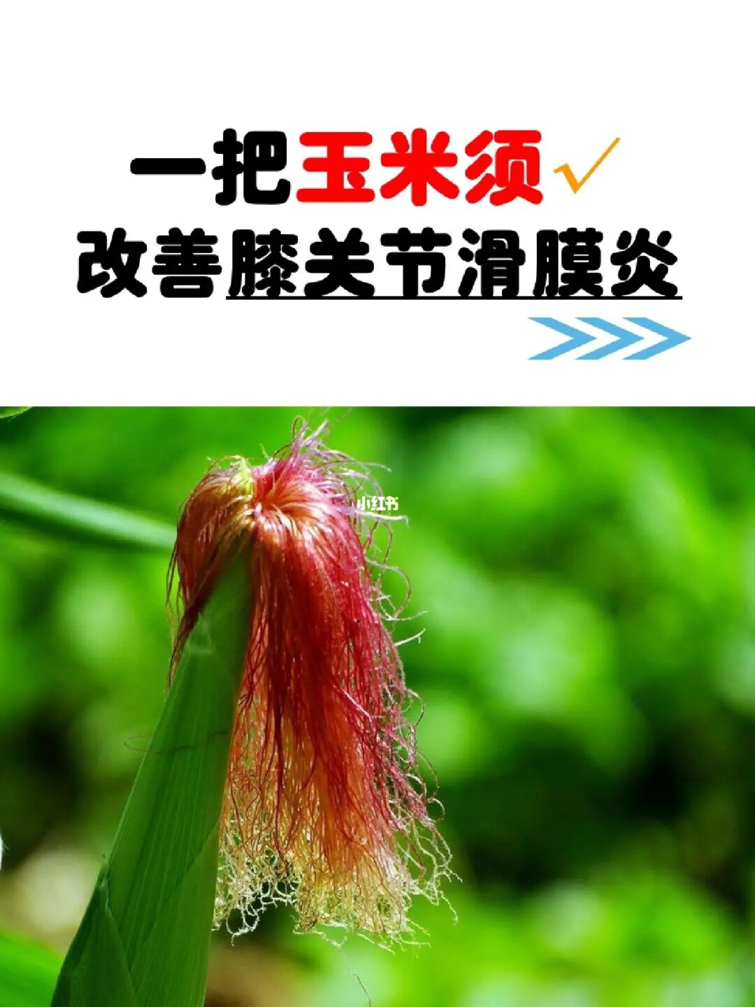 膽管結石患者的食療小方推薦--如何治療膽管疾病