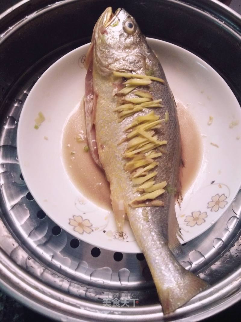 鱸魚的營養價值功效_鱸魚的營養價值及功效_鱸魚營養價值與功效