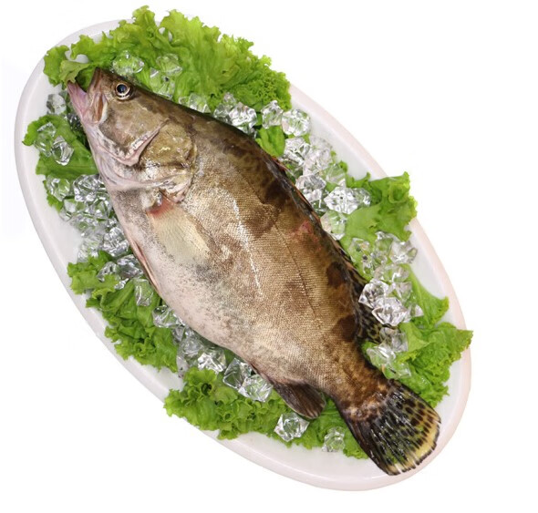 怎么讀,安徽特產臭鱖魚怎么做內容導航？