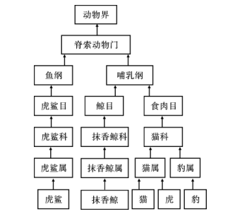 百科魚類圖片及名稱_魚類百科知識_魚類百科