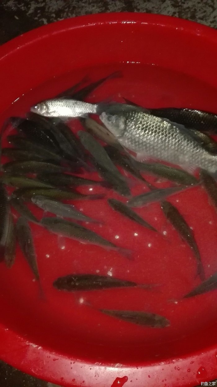 冬季4米水深怎么釣魚？冬季釣魚要注意什么？