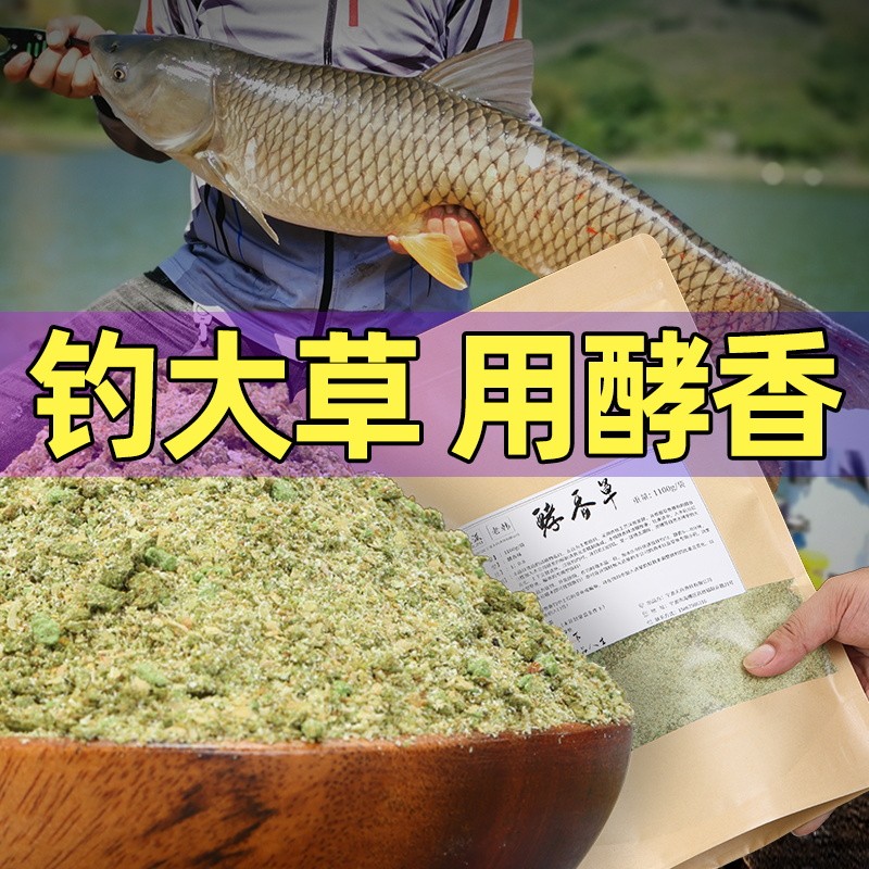 夏季是草魚釣魚的黃金季節，釣草魚的技巧！