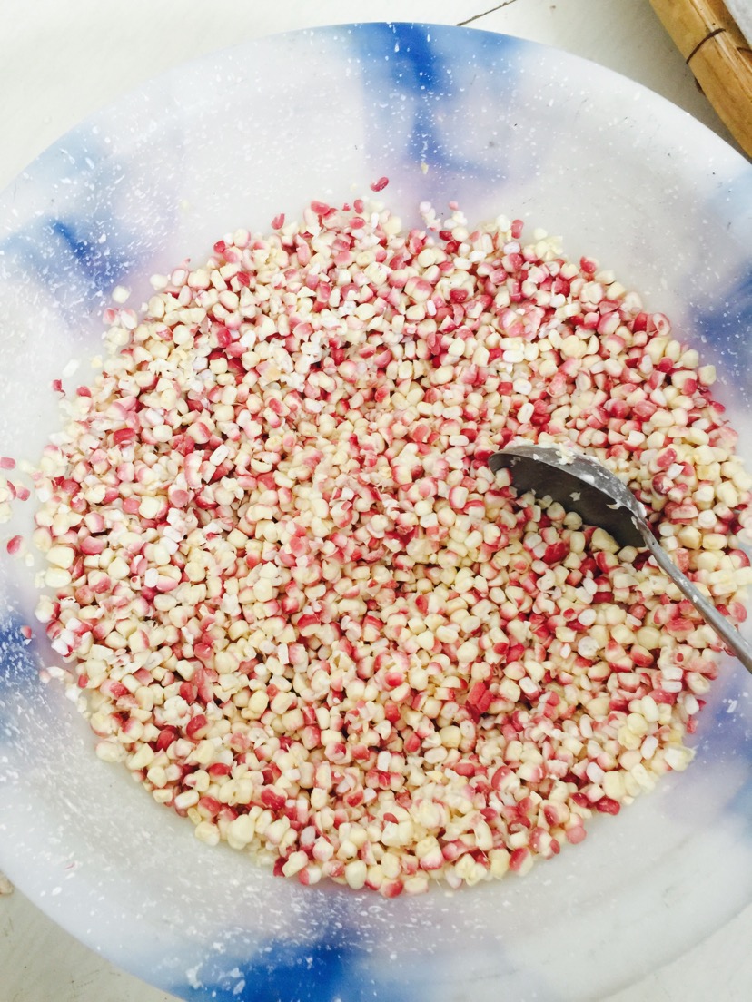 （釣魚技巧）釣魚‘萬能’——鯉魚草魚鳊魚