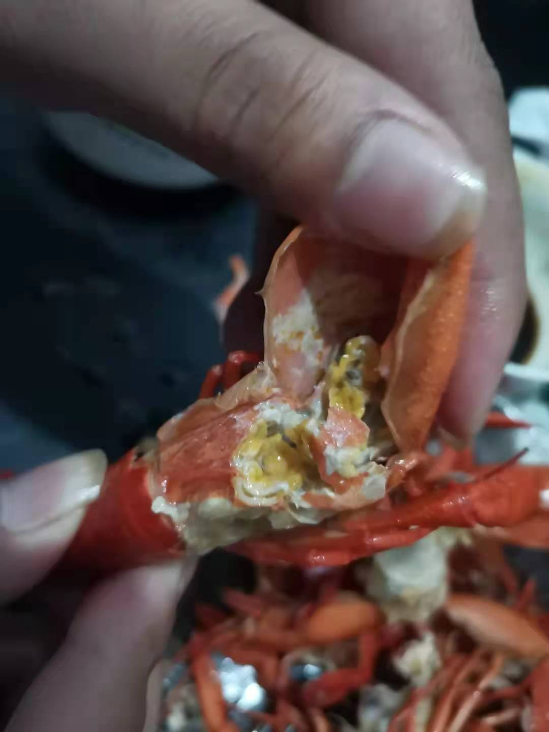大龍蝦多少錢一斤_龍蝦大只_大龍蝦蝦子