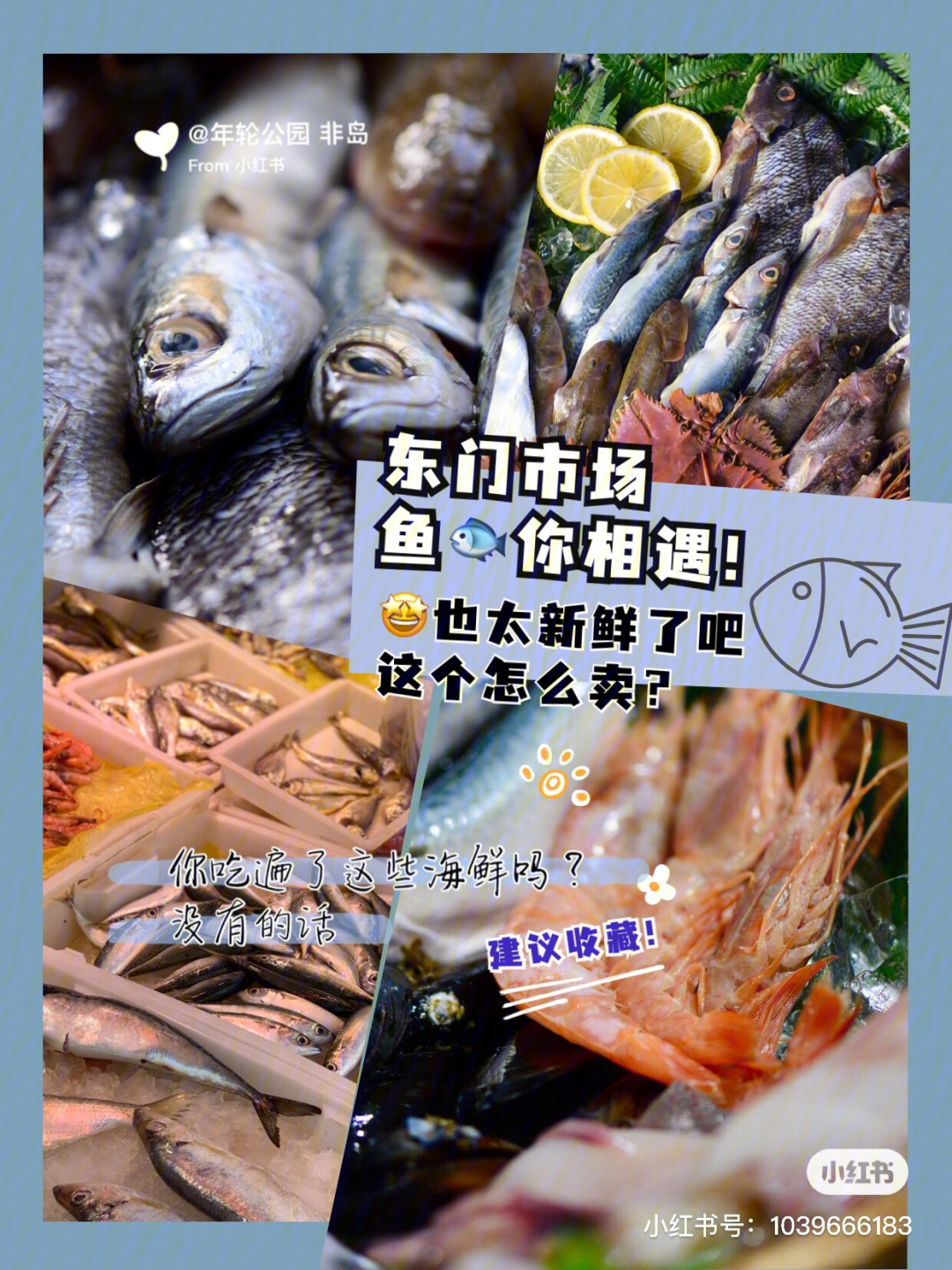 有證釣具漁船可攜帶規定的作業