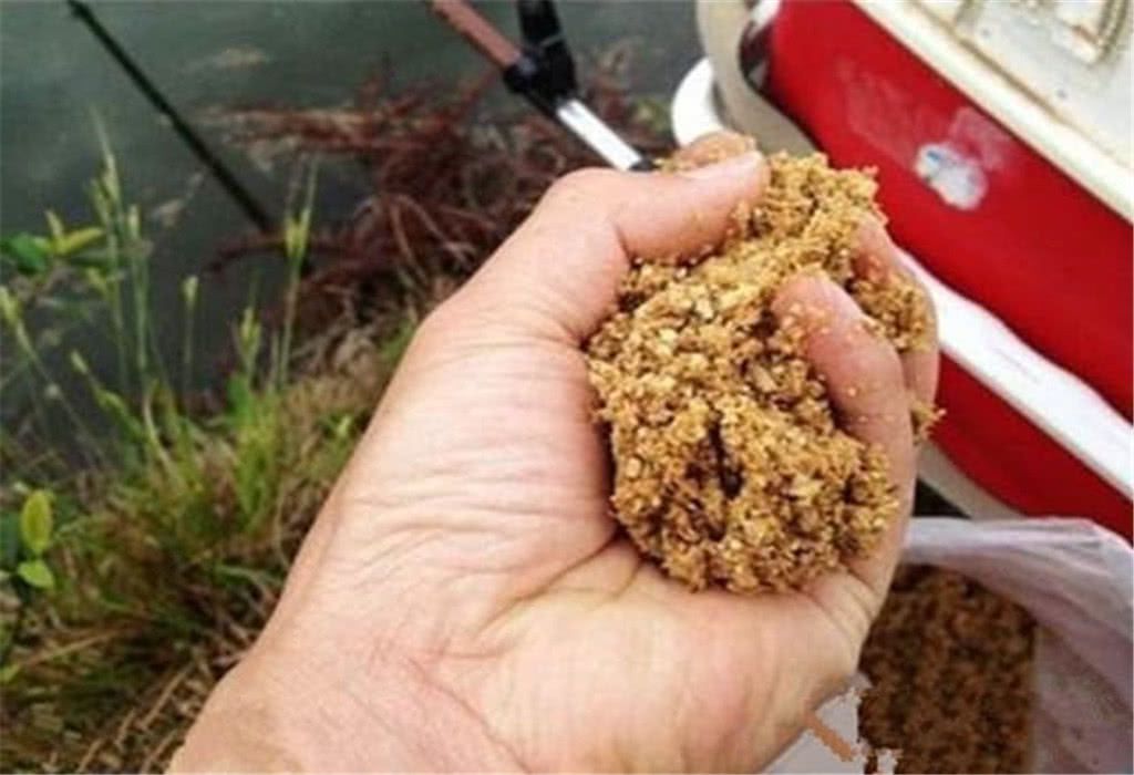 （釣魚技巧）春季釣魚的相關知識你知道嗎？