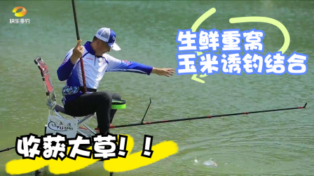 釣大魚視頻最大魚_播放釣大魚視頻_釣大魚視頻300斤大