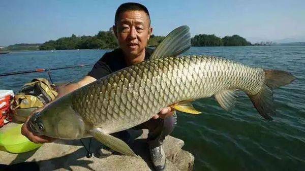 釣大魚視頻最大魚_釣大魚視頻300斤大_播放釣大魚視頻