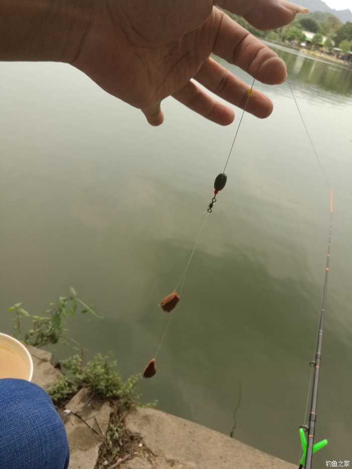 釣魚短竿長線怎么釣_短竿長線怎么搭配_長竿短線線組圖解