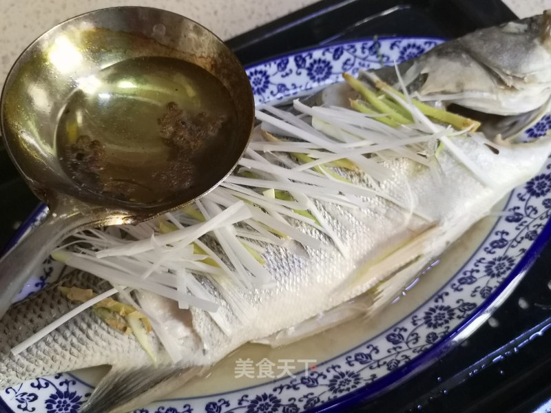 鱸魚營養價值與功效_鱸魚的營養價值功效_鱸魚的營養價值及功效