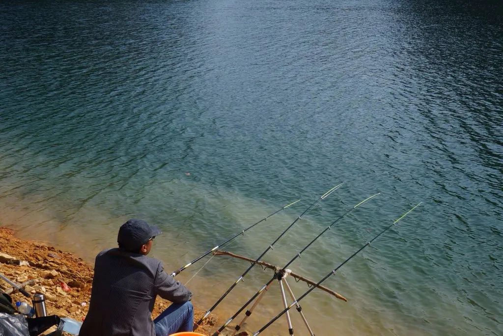 釣魚杭州_杭州釣魚圣地_杭州釣魚