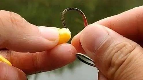 釣魚人不善于用手竿作釣翹嘴魚的經驗分享