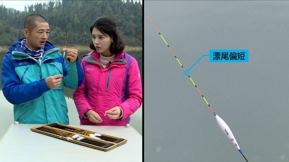 釣魚漂的視頻_釣滑漂的視頻_滑漂釣魚視頻釣魚視頻