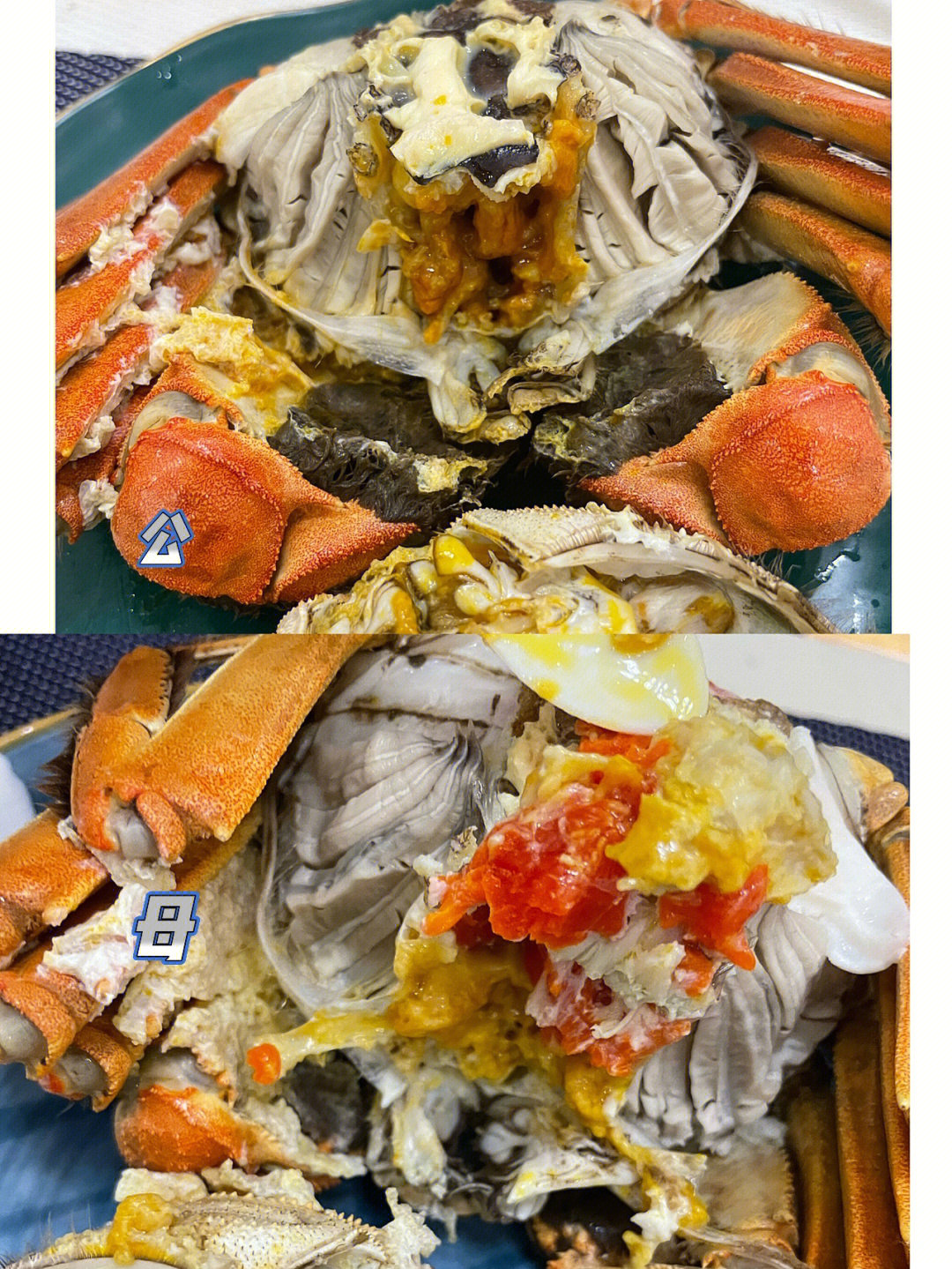 螃蟹存活保存方式_活螃蟹怎么保存_螃蟹保存