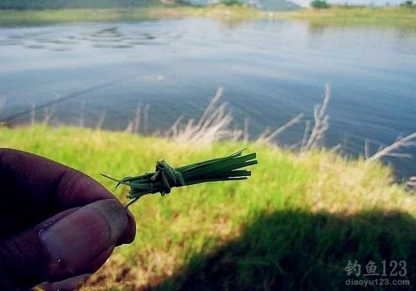 釣草魚釣底還是釣浮_草魚釣浮釣底_釣草魚底釣好還是浮釣好