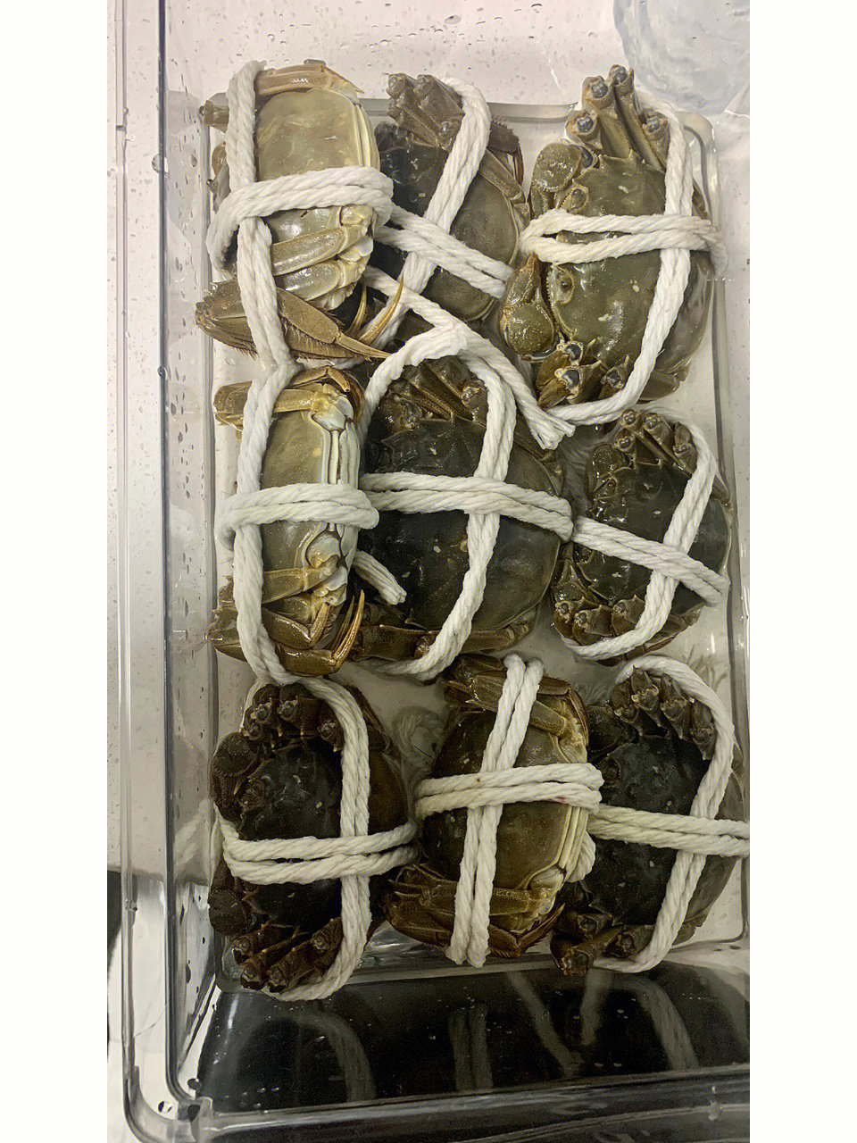 怎么保存活螃蟹：暫養池保存螃蟹