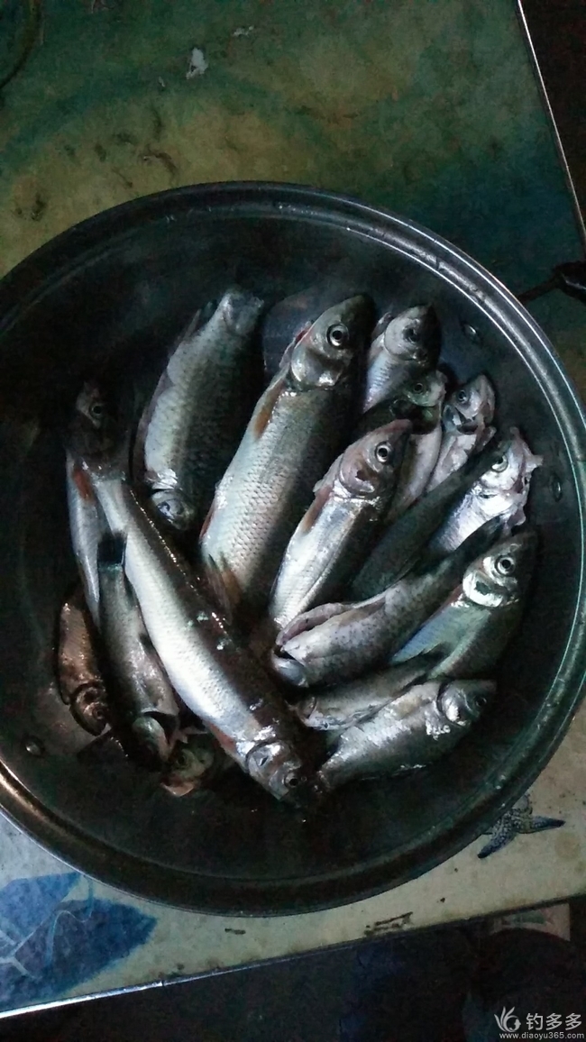 釣魚釣冬水天氣如何_釣魚釣冬水天氣怎么樣_冬天釣魚釣多深的水
