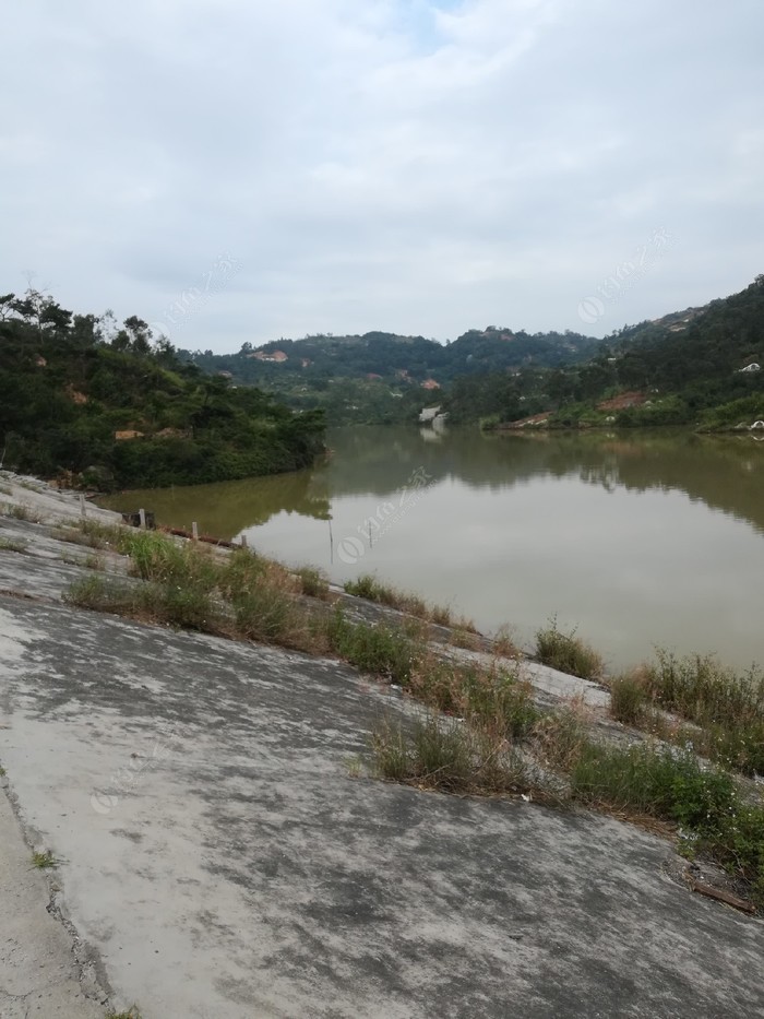 水庫釣魚視頻手竿_手桿釣水庫_水庫手竿釣魚技巧