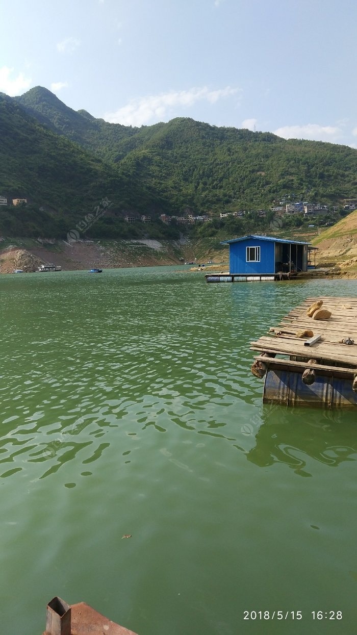水庫手竿釣魚技巧_水庫釣魚視頻手竿_手桿釣水庫