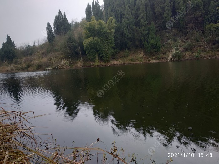 手桿釣水庫_水庫手竿釣魚技巧_水庫釣魚視頻手竿