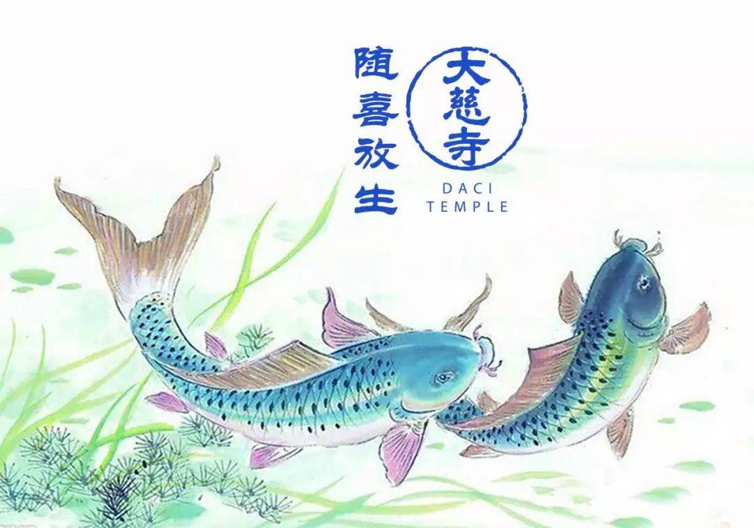 放生泥鰍_放生泥鰍的功德和福報_放生泥鰍代表什么意思