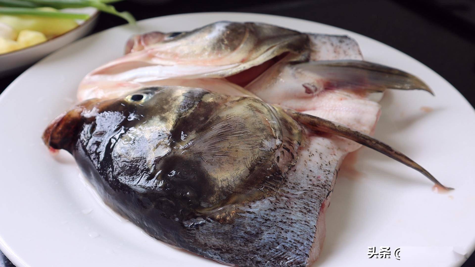 鱸魚為什么叫癌魚_鱸魚叫啥_鱸魚癌癥