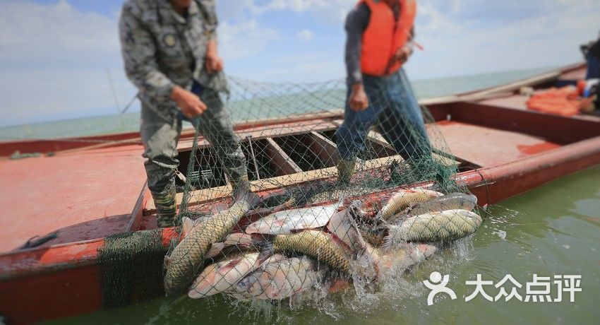 海釣圖片_海釣圖片頭像_海釣魚圖片大全圖