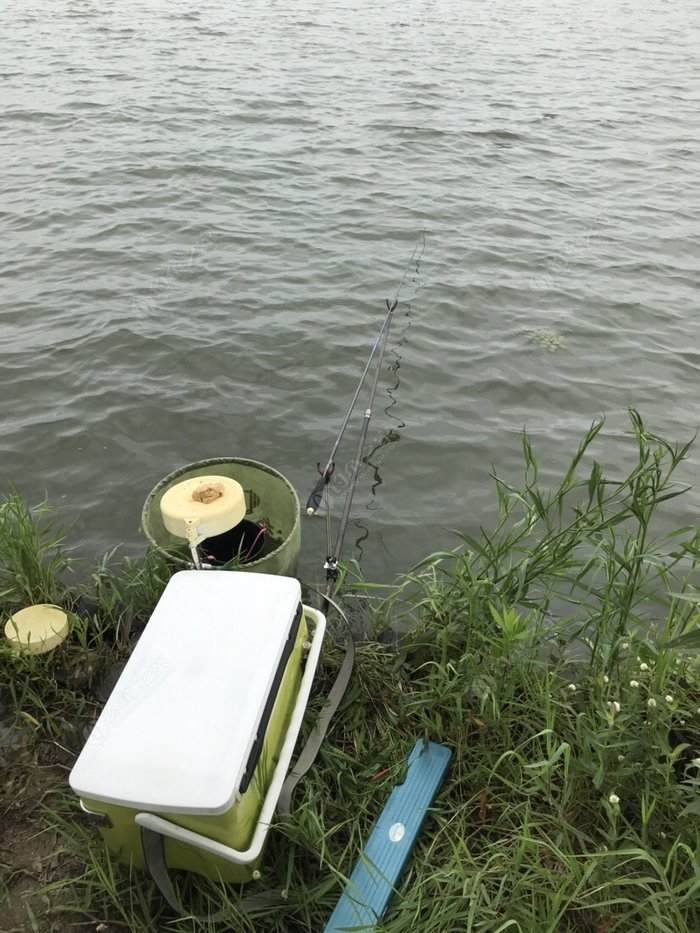 釣魚夏季用什么小藥_夏季釣魚_釣魚夏季時間