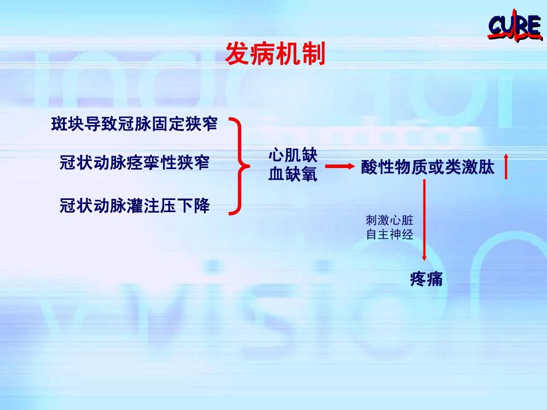 心臟章魚婁樣_章魚有幾個心臟_心臟魚