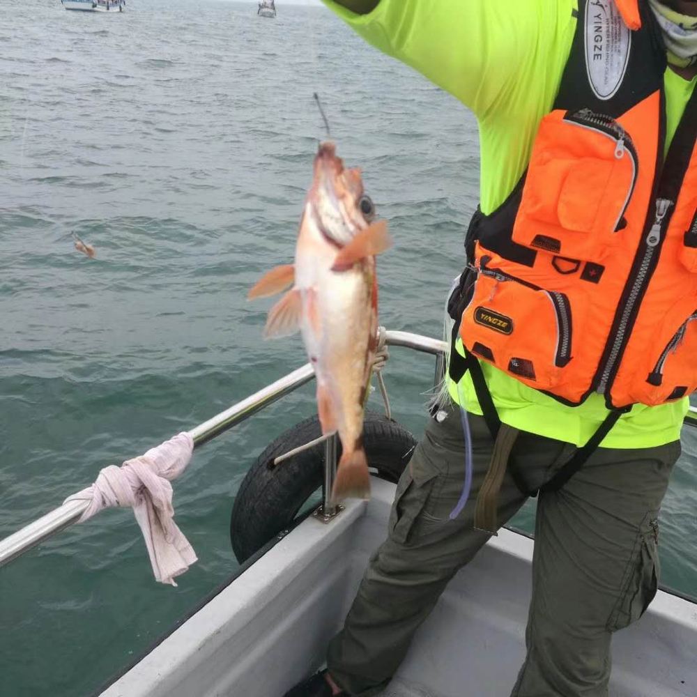 海釣魚圖片大全圖_海釣圖志_海釣圖片