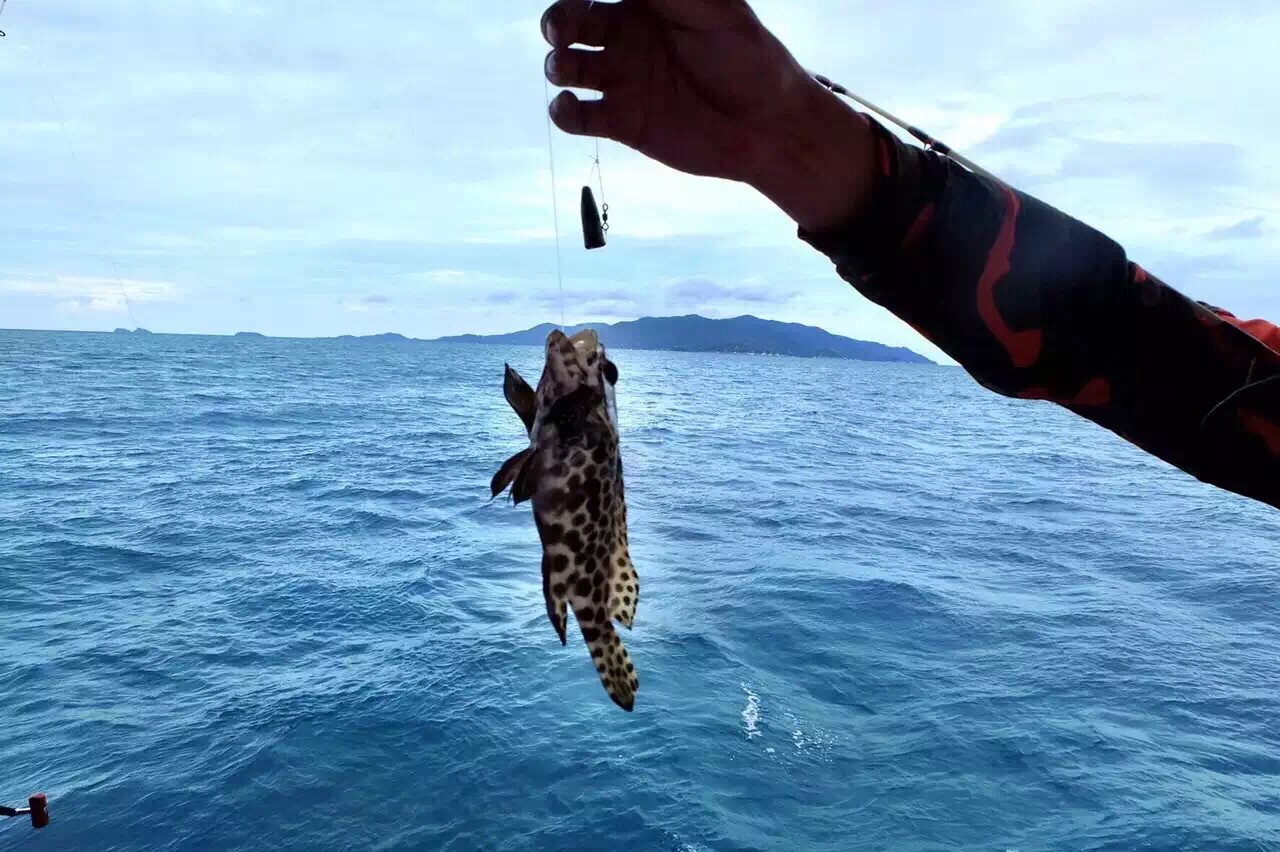 海釣圖片頭像_海釣圖片_海釣圖片真實