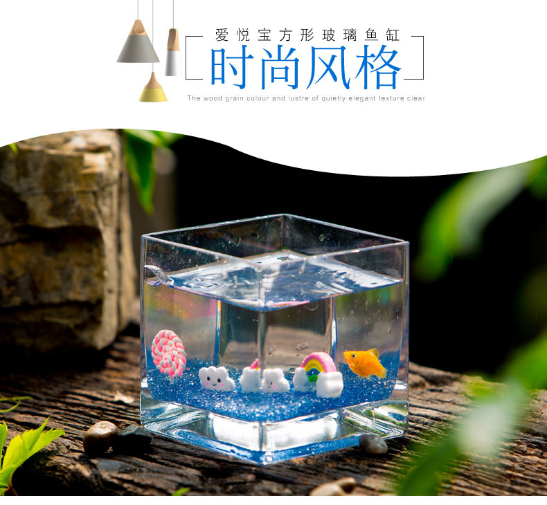 鸚鵡的血_鸚鵡血羽是怎么回事_血鸚鵡多少錢一條